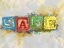 Picture of SAFE