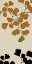Picture of SEPIA HERB 3