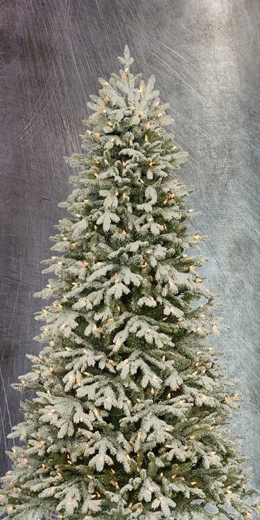 Picture of CHRISTMAS TREE