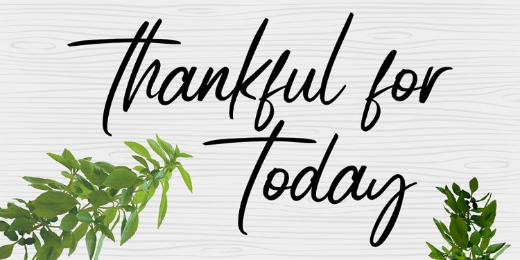 Picture of THANKFUL