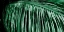 Picture of PALM BRANCH