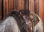 Picture of HORSE ON THE RANCH