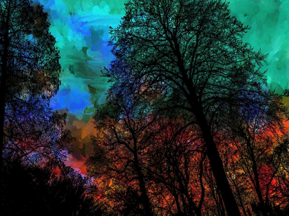 Picture of TREES
