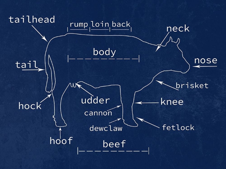 Picture of BEEF