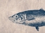 Picture of FISH