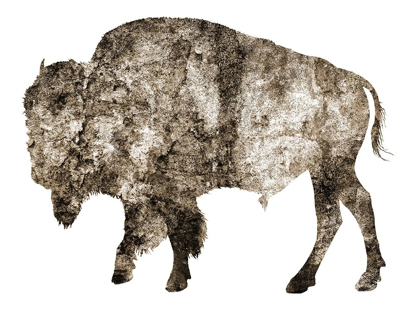 Picture of RUSTIC BISON 2