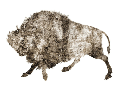 Picture of RUSTIC BISON 3