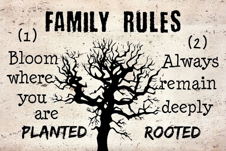 Picture of FAMILY RULES