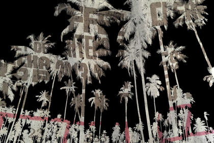 Picture of MIAMI BEACH
