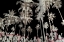 Picture of MIAMI BEACH