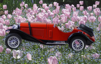 Picture of FLOWER CAR