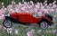 Picture of FLOWER CAR