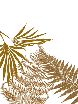 Picture of GOLD FERN 2