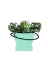 Picture of GROW