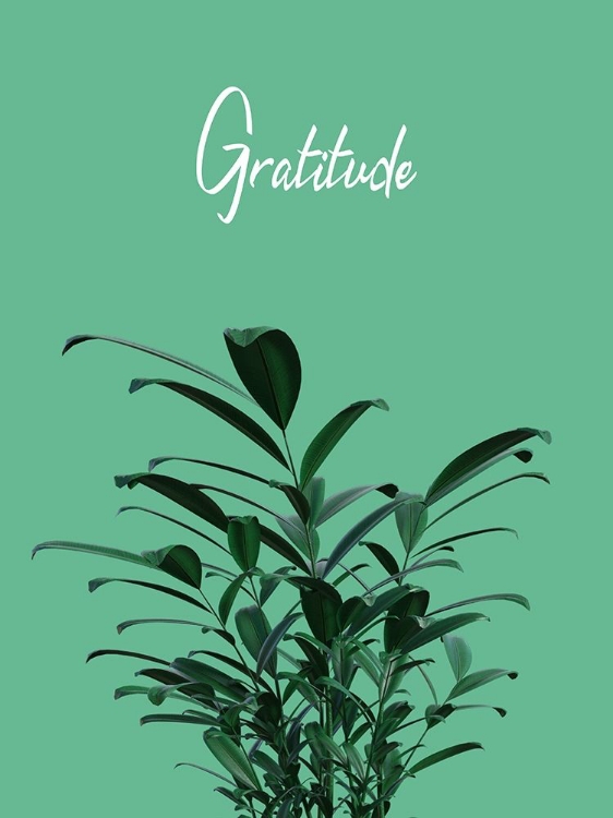 Picture of GRATITUDE