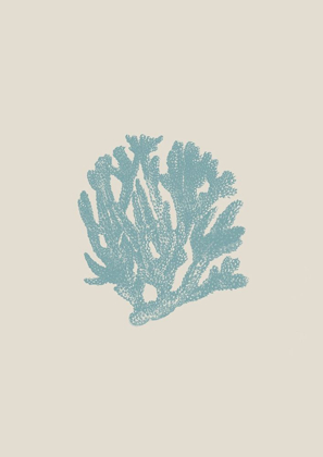 Picture of CORAL