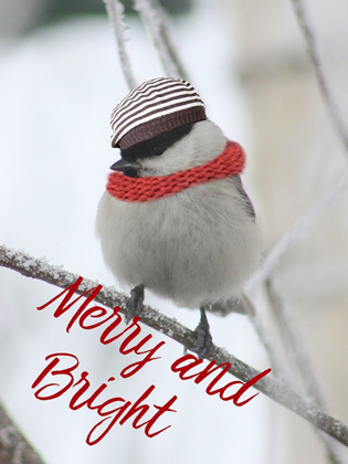Picture of CHRISTMAS BIRD