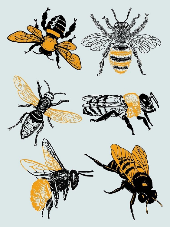 Picture of BEES