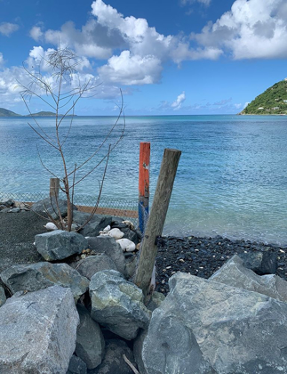 Picture of BVI 3