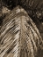 Picture of BVI 6