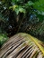 Picture of BVI 7