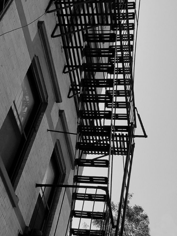 Picture of ESCAPE 1