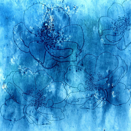 Picture of PETALS