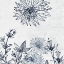 Picture of BONANICAL ROOTS 2