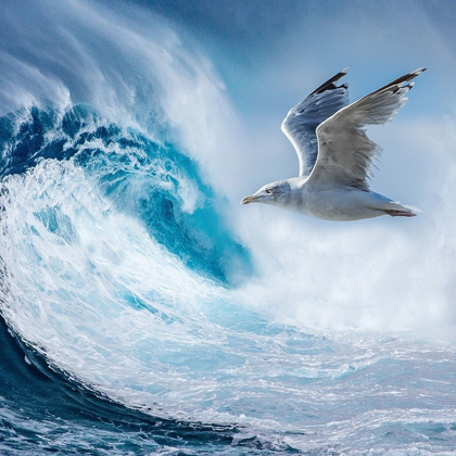 Picture of BIG WAVE