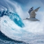 Picture of BIG WAVE