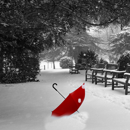 Picture of RED SNOW