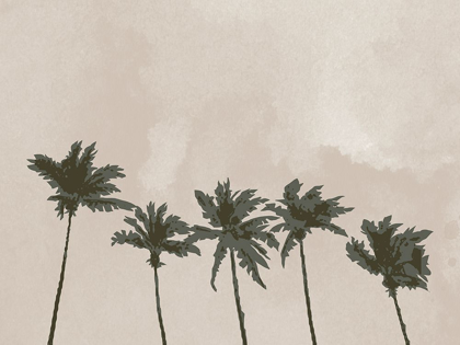 Picture of WINDY PALM TREES