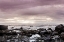 Picture of SPIRITUAL SHORES