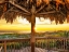 Picture of BREAKFAST PLACE