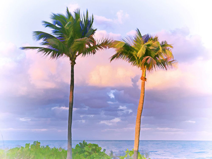 Picture of TWO PALMS