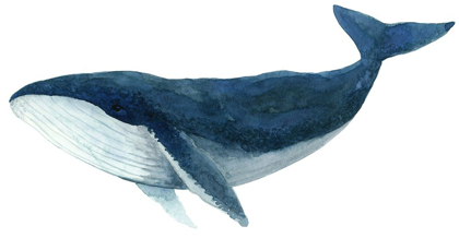 Picture of HUMPBACK WHALE - BLUE