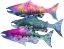 Picture of SALMON SEASON