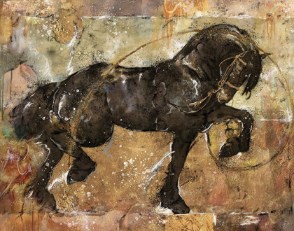 Picture of FIBONACCI HORSE