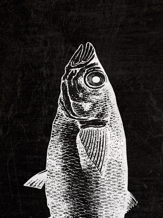 Picture of BLACK FIN