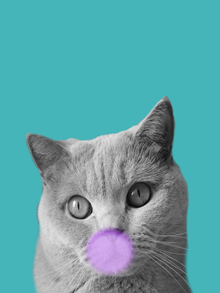 Picture of BUBBLE CAT