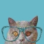 Picture of CAT LADY