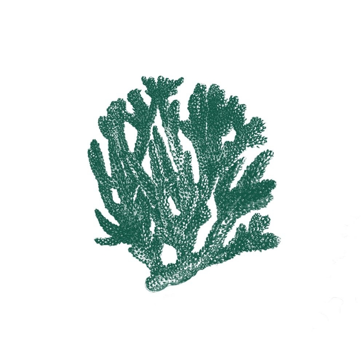 Picture of CORAL 1