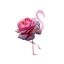 Picture of FLAMINGO DRESS 6