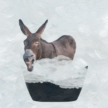 Picture of DONKEY SHOWER