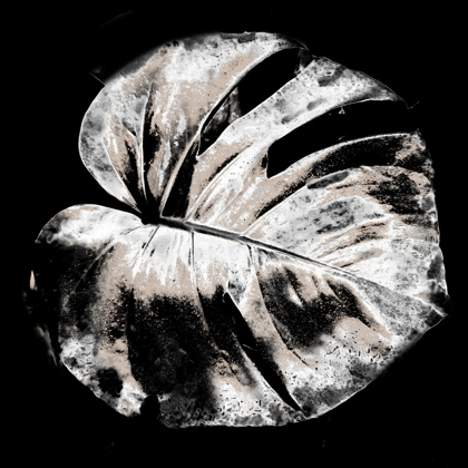 Picture of TROPIC LEAF 2