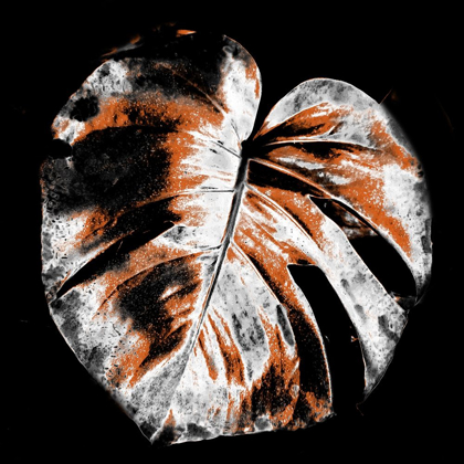 Picture of TROPIC LEAF 3