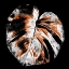Picture of TROPIC LEAF 3