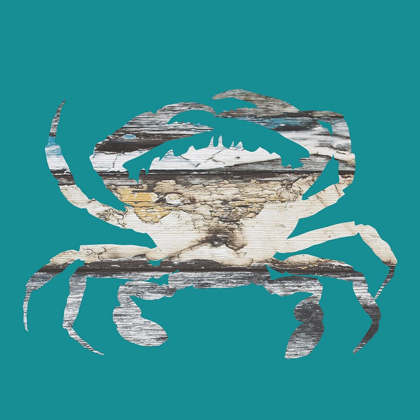 Picture of BLUE CRAB