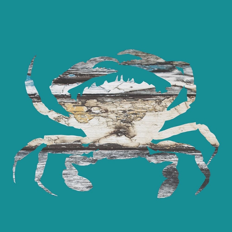 Picture of BLUE CRAB