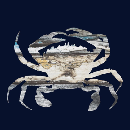 Picture of BLUE CRAB 2